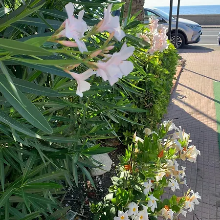 Appartement Andi Casa - Sicilia - Vista Mare *
